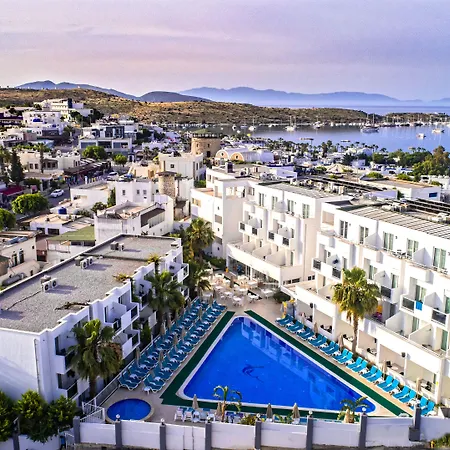 Club Shark Hotel-2